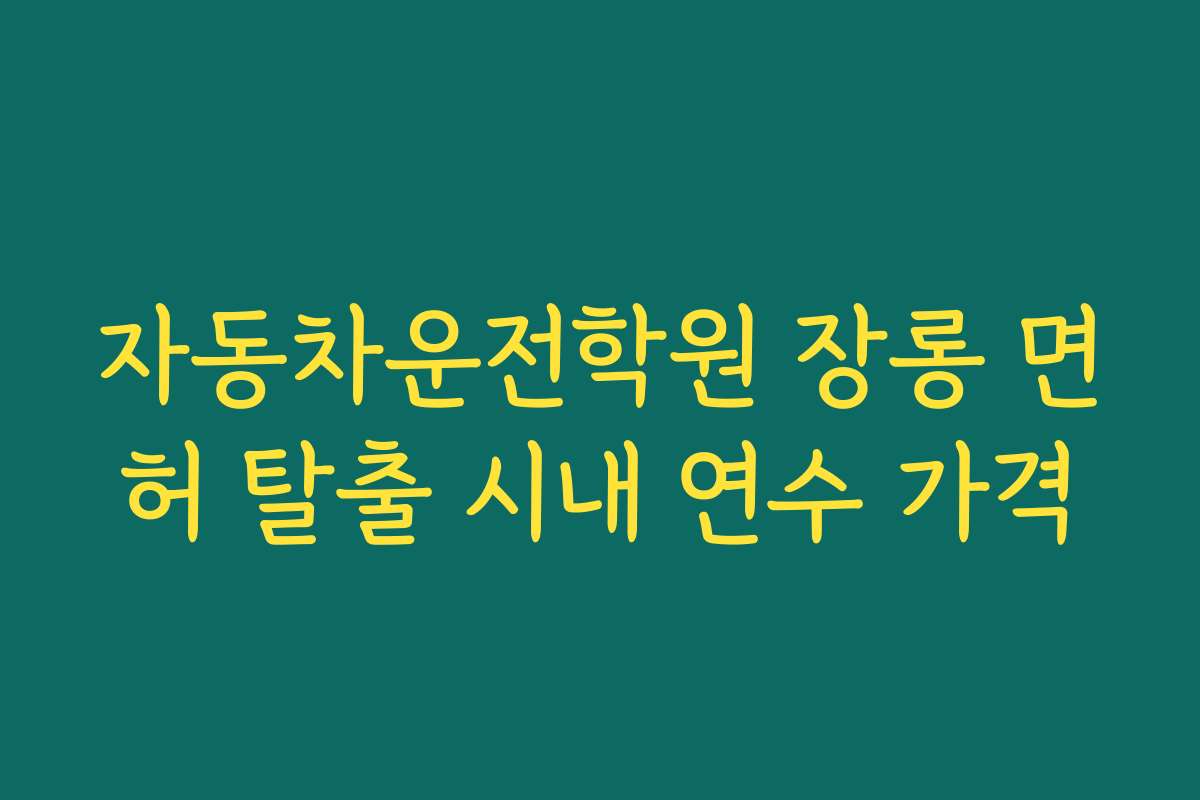 자동차운전학원 장롱 면허 탈출 시내 연수 가격