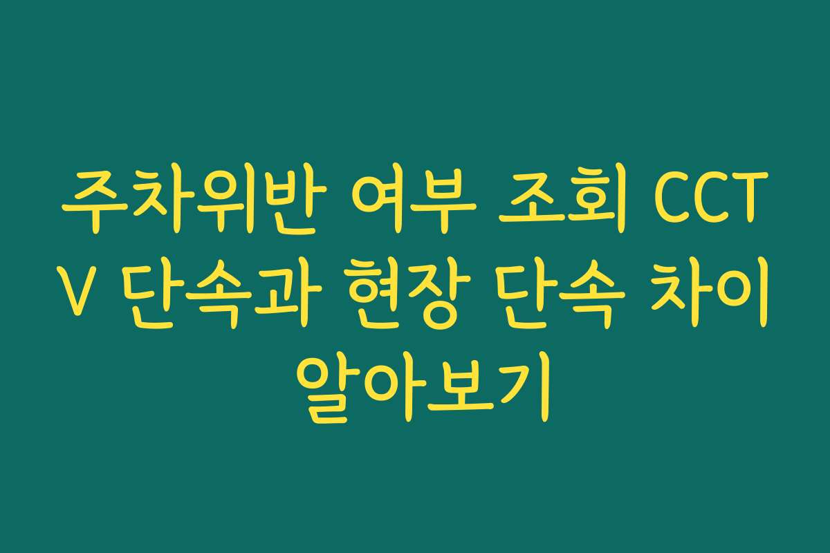 주차위반 여부 조회 CCTV 단속과 현장 단속 차이 알아보기