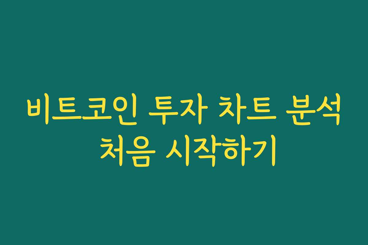 비트코인 투자 차트 분석 처음 시작하기