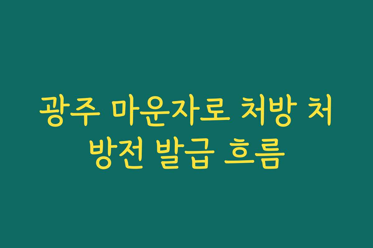 광주 마운자로 처방 처방전 발급 흐름