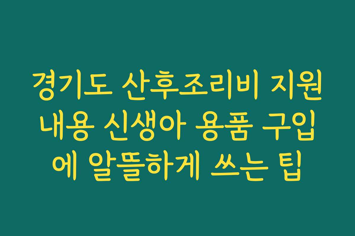 경기도 산후조리비 지원내용 신생아 용품 구입에 알뜰하게 쓰는 팁
