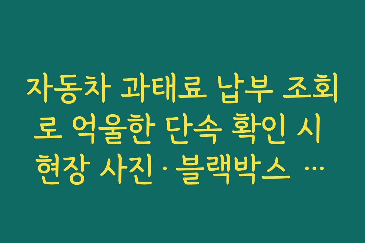 자동차 과태료 납부 조회로 억울한 단속 확인 시 현장 사진·블랙박스 증거 준비 방법
