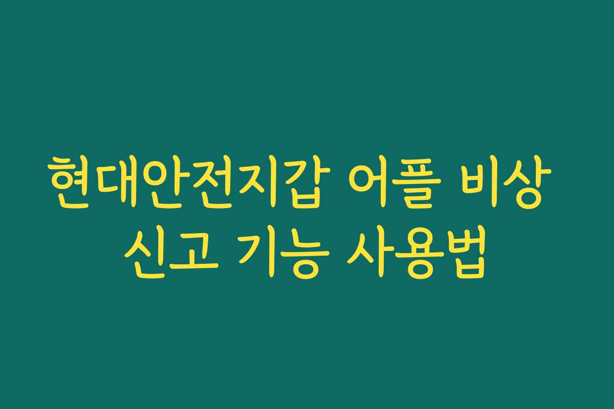 현대안전지갑 어플 비상 신고 기능 사용법