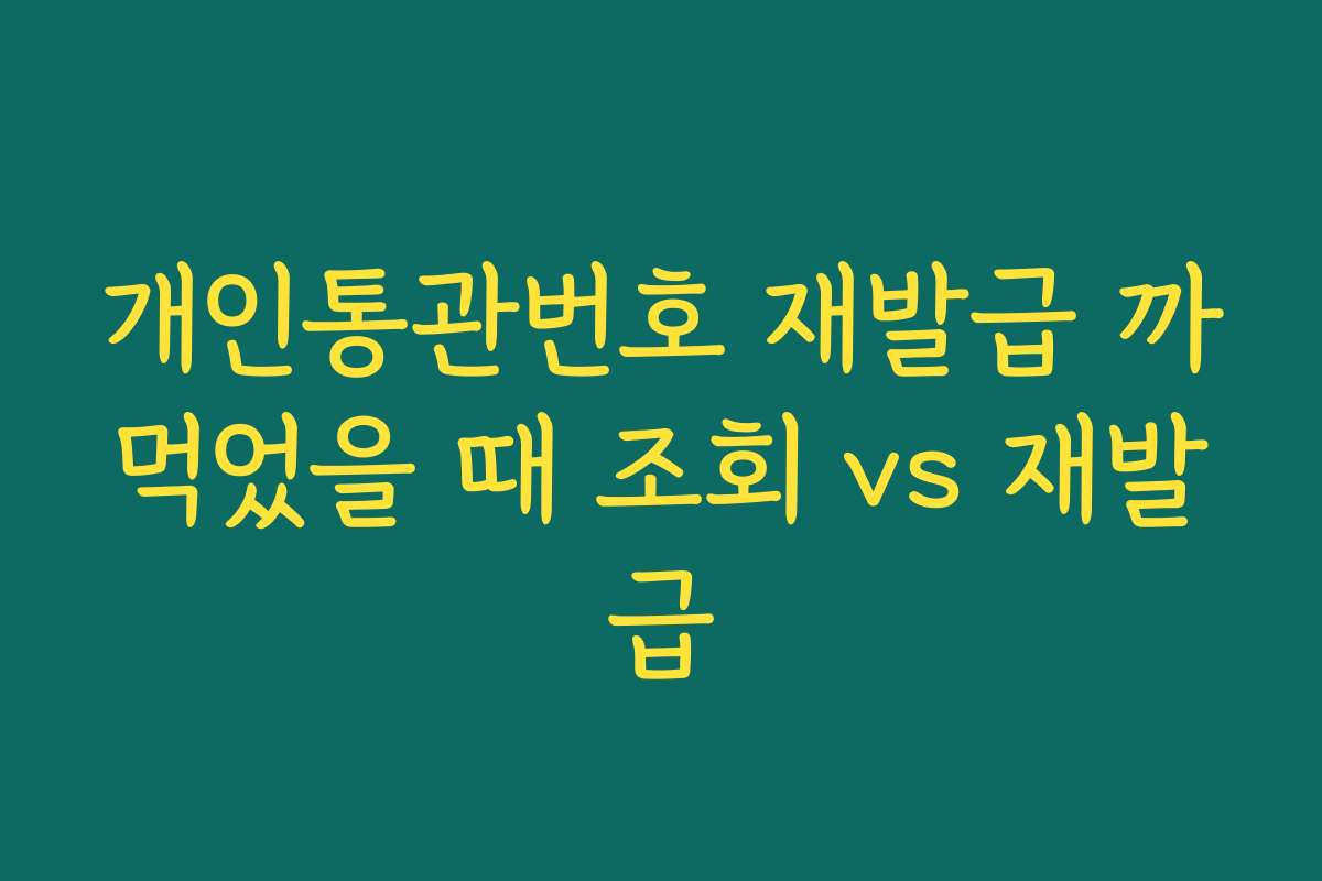 개인통관번호 재발급 까먹었을 때 조회 vs 재발급