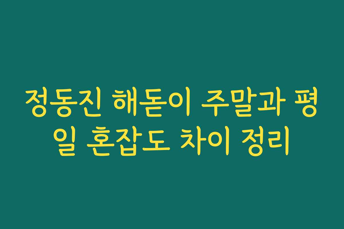 정동진 해돋이 주말과 평일 혼잡도 차이 정리
