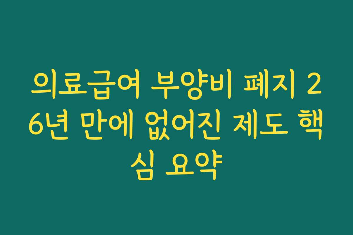 의료급여 부양비 폐지 26년 만에 없어진 제도 핵심 요약
