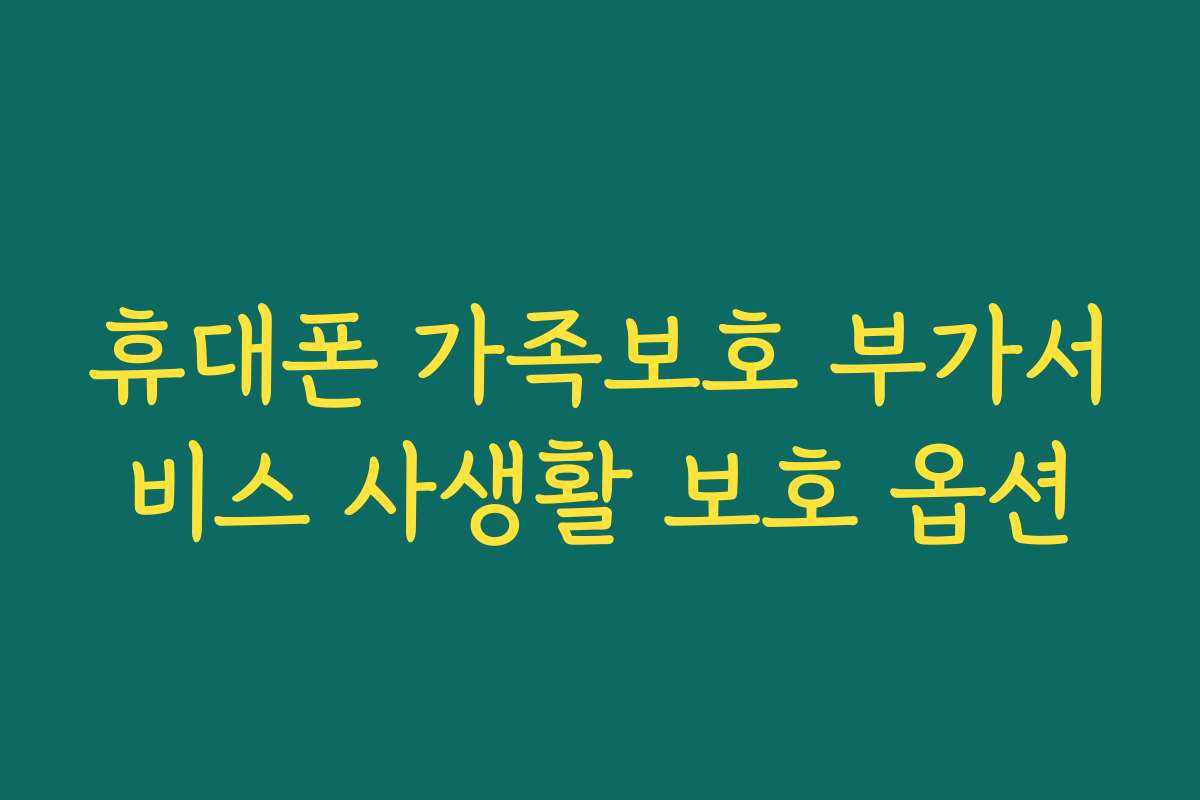 휴대폰 가족보호 부가서비스 사생활 보호 옵션