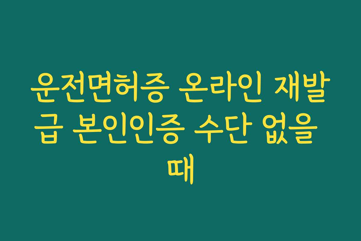 운전면허증 온라인 재발급 본인인증 수단 없을 때