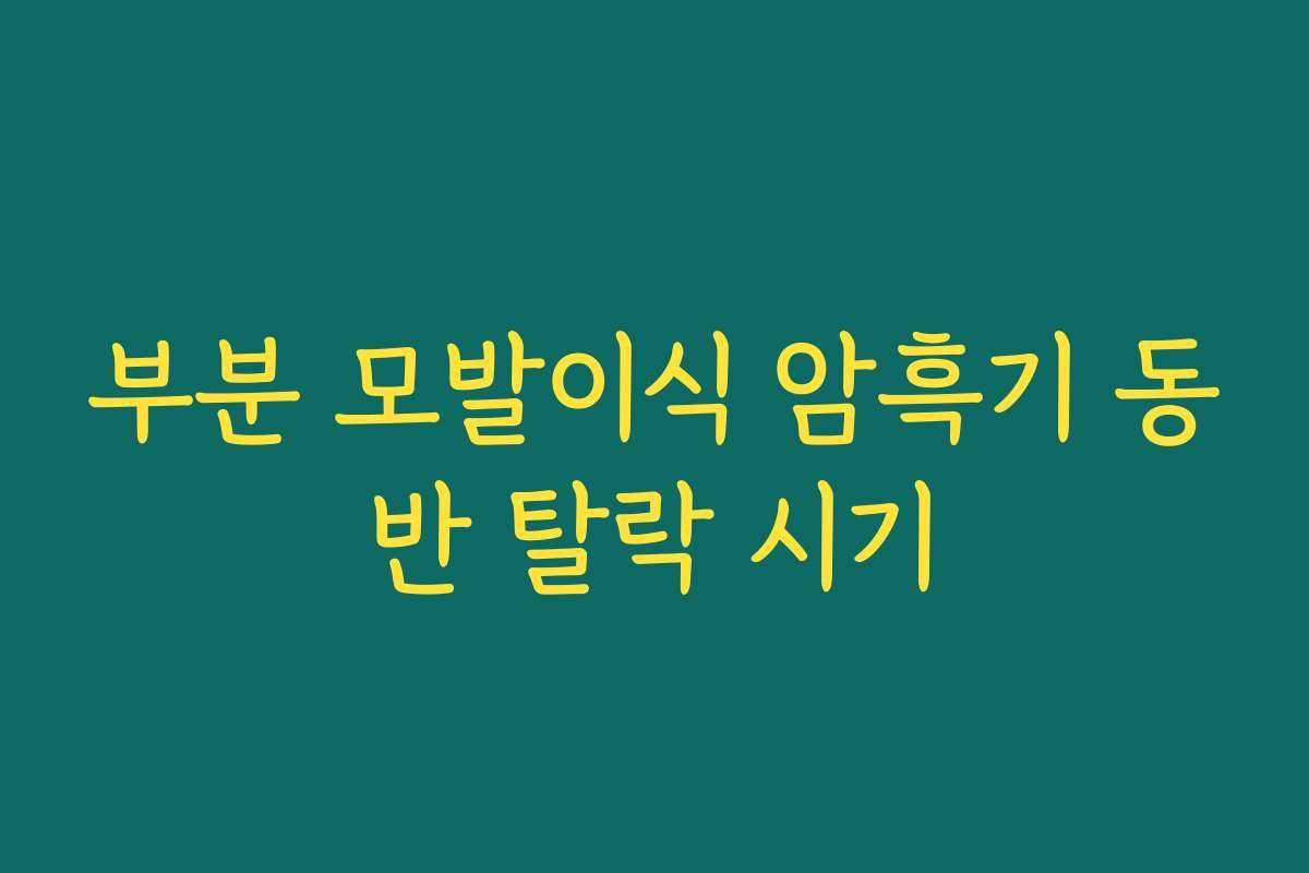 부분 모발이식 암흑기 동반 탈락 시기