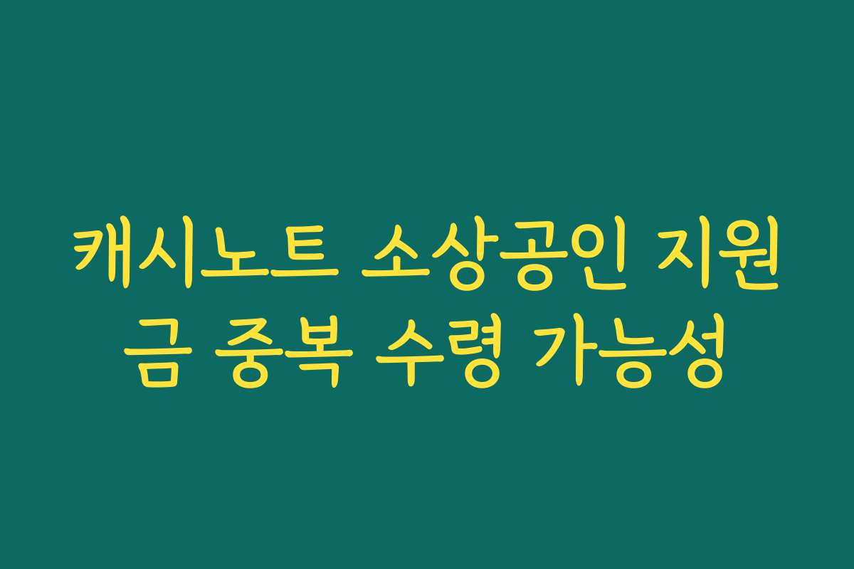캐시노트 소상공인 지원금 중복 수령 가능성