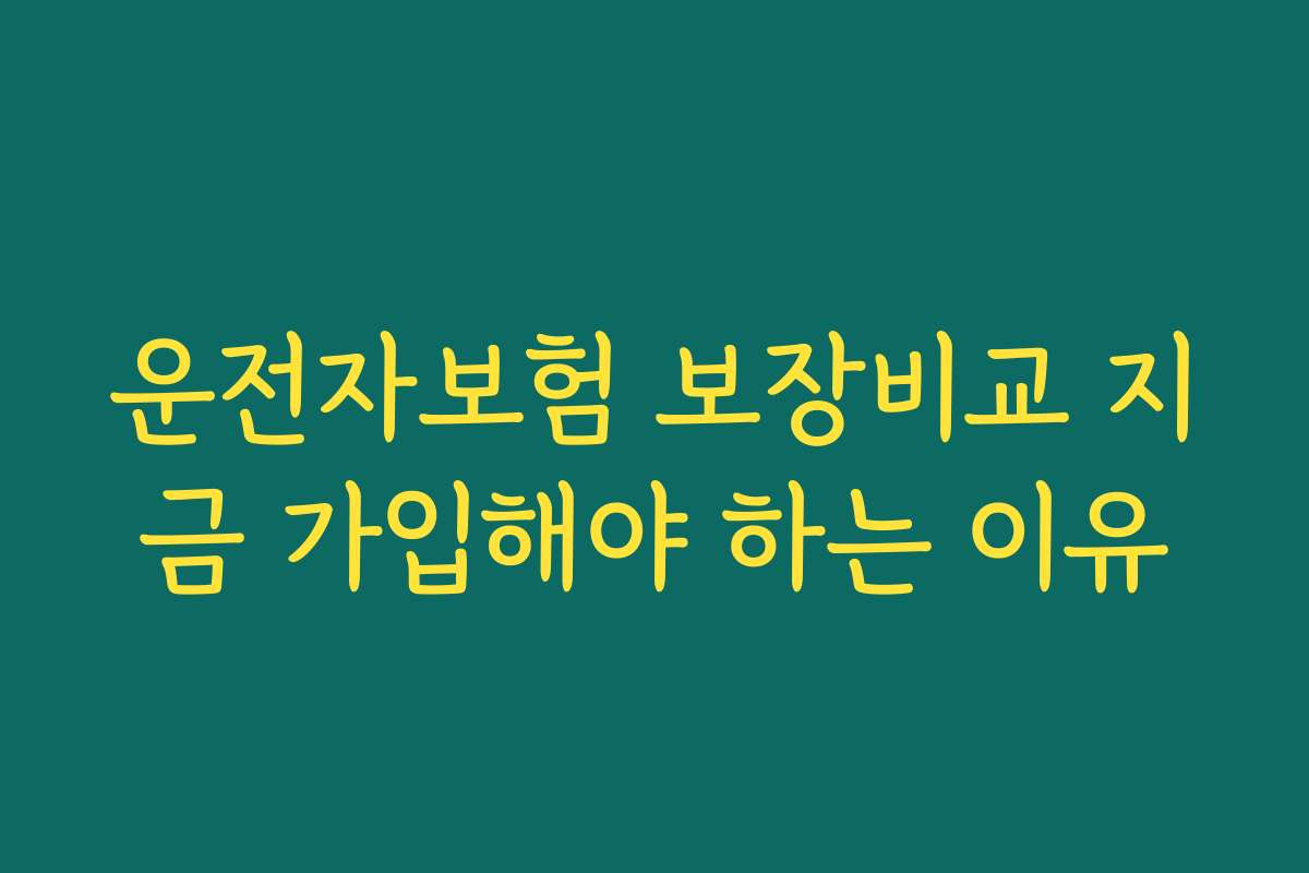 운전자보험 보장비교 지금 가입해야 하는 이유