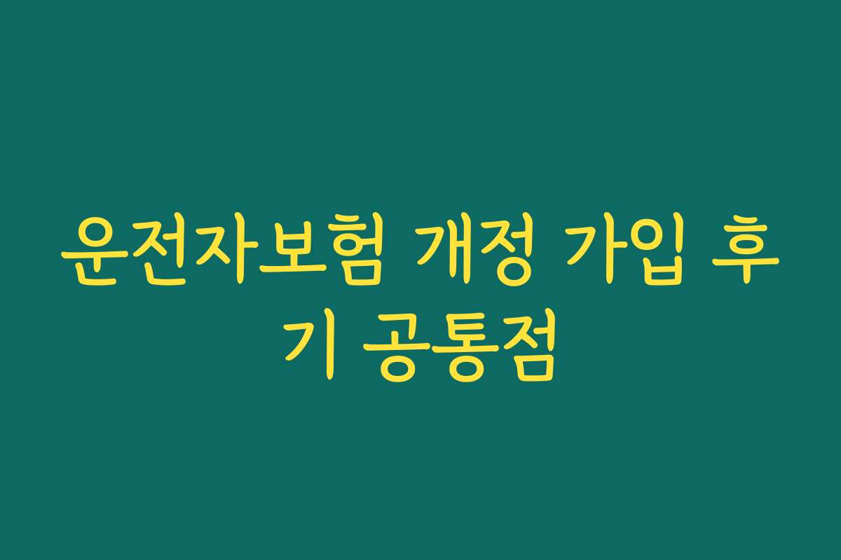 운전자보험 개정 가입 후기 공통점