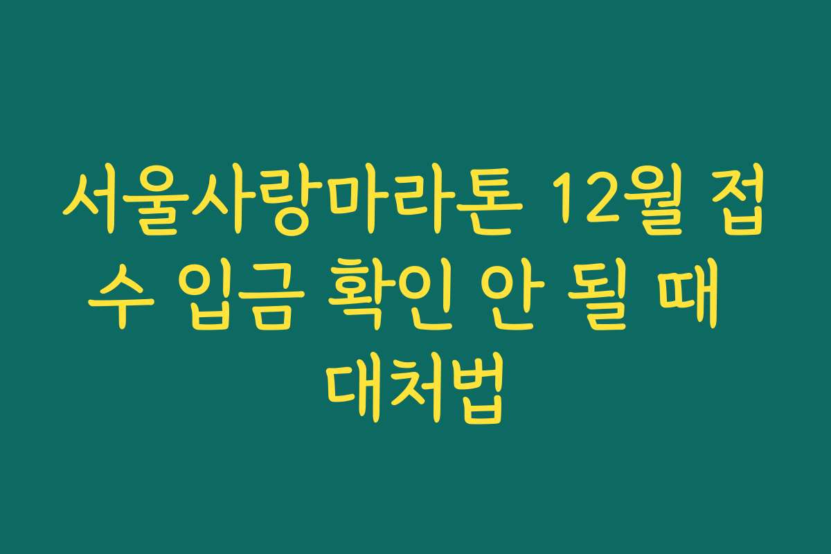 서울사랑마라톤 12월 접수 입금 확인 안 될 때 대처법