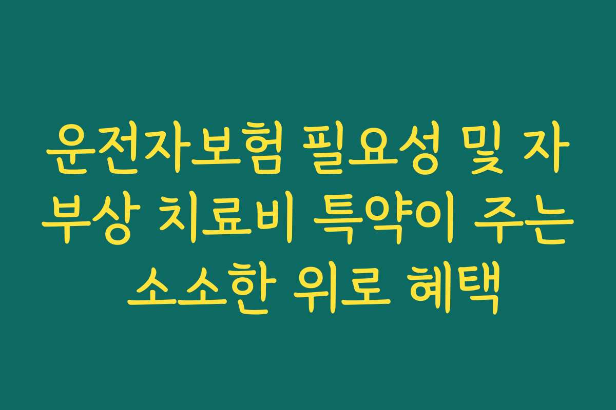 운전자보험 필요성 및 자부상 치료비 특약이 주는 소소한 위로 혜택
