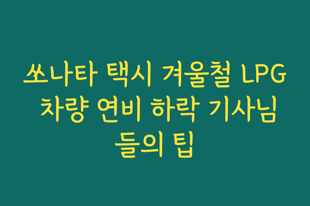 쏘나타 택시 겨울철 LPG 차량 연비 하락 기사님들의 팁