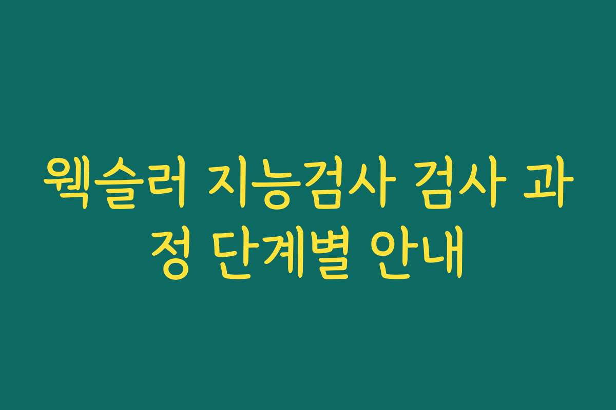 웩슬러 지능검사 검사 과정 단계별 안내