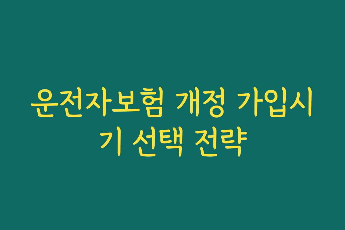 운전자보험 개정 가입시기 선택 전략