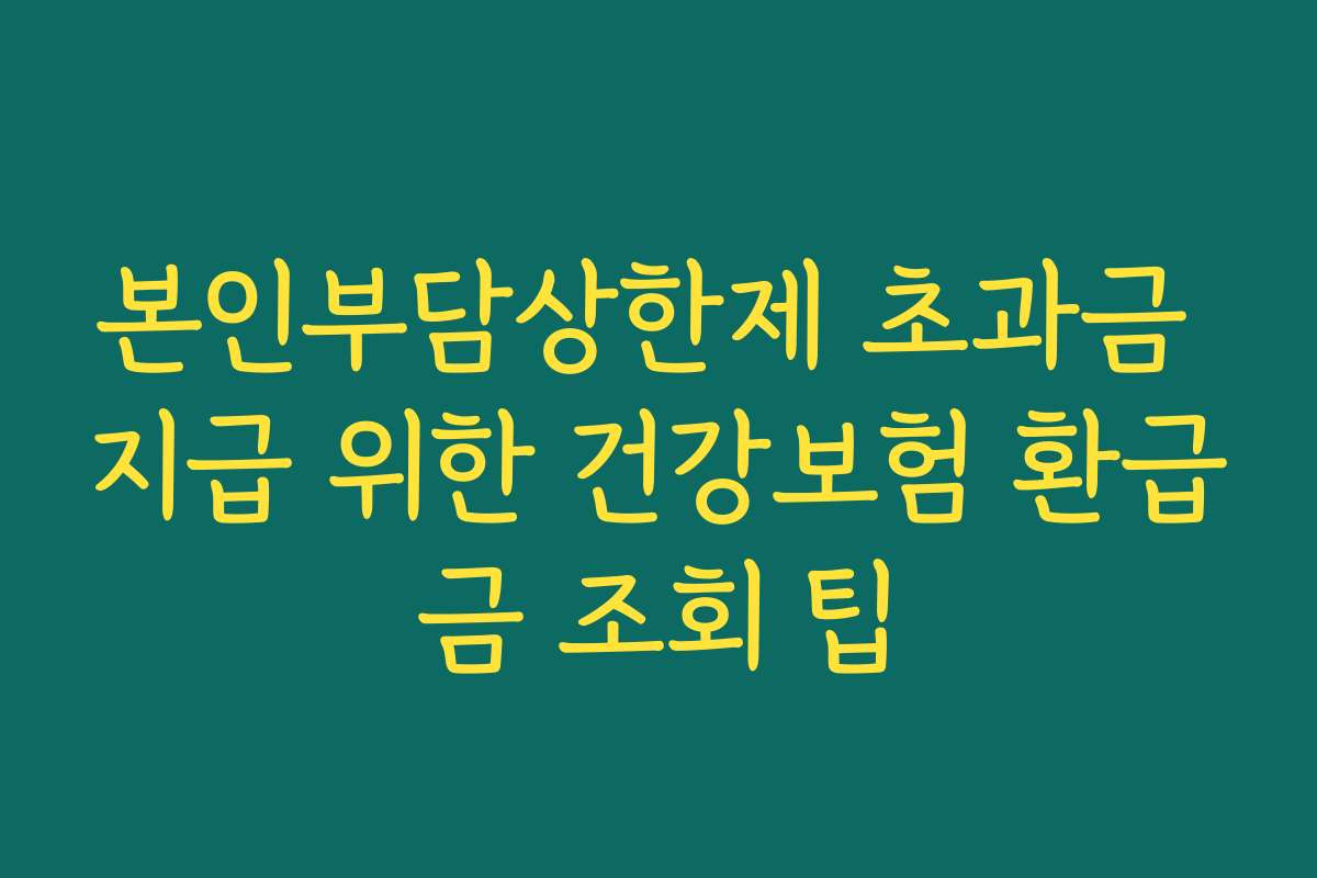 본인부담상한제 초과금 지급 위한 건강보험 환급금 조회 팁