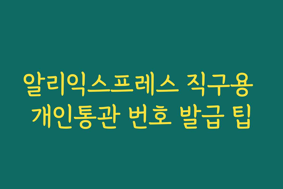 알리익스프레스 직구용 개인통관 번호 발급 팁