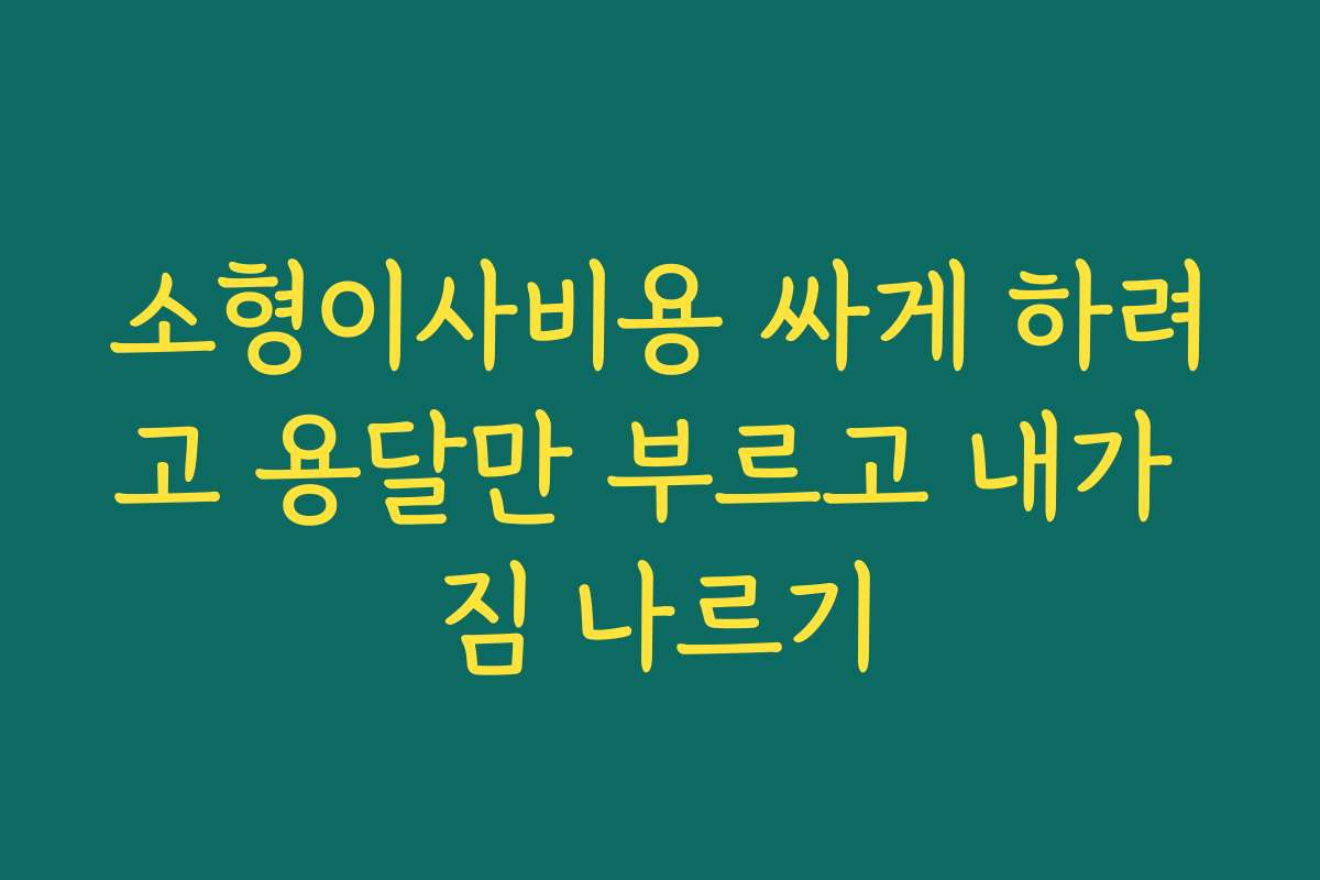 소형이사비용 싸게 하려고 용달만 부르고 내가 짐 나르기