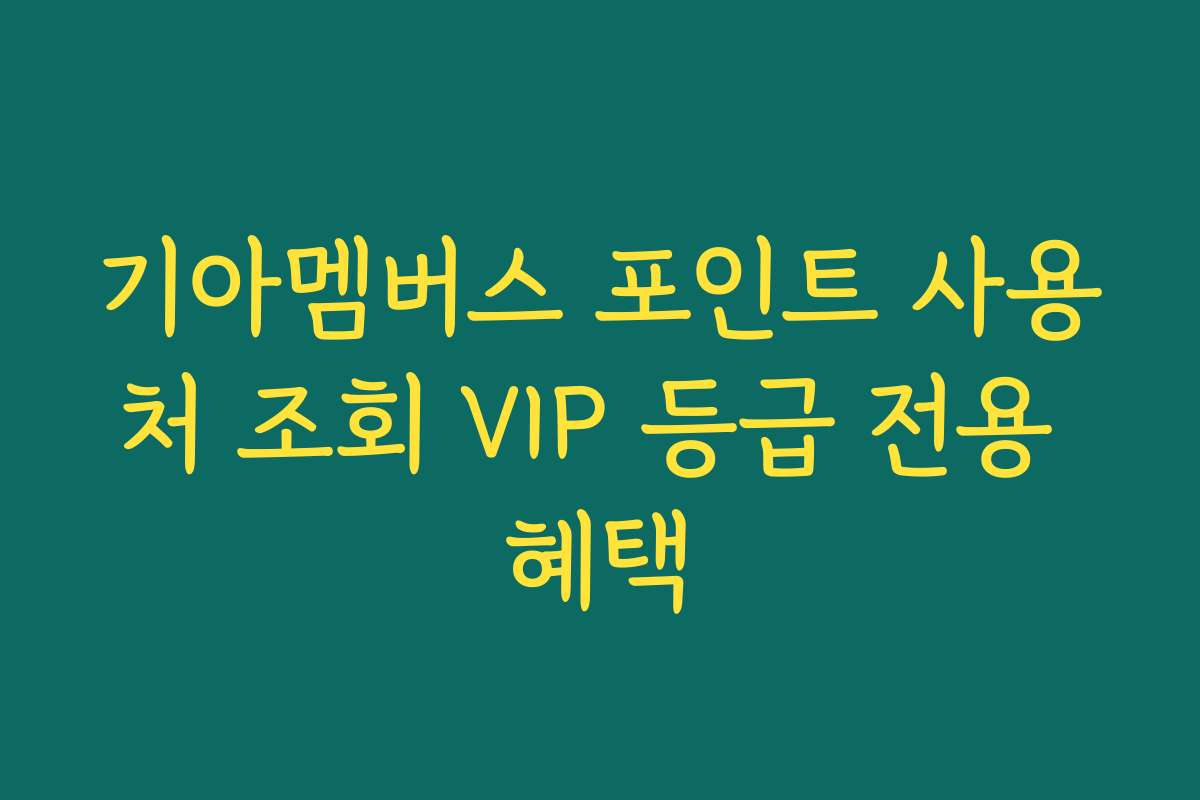 기아멤버스 포인트 사용처 조회 VIP 등급 전용 혜택