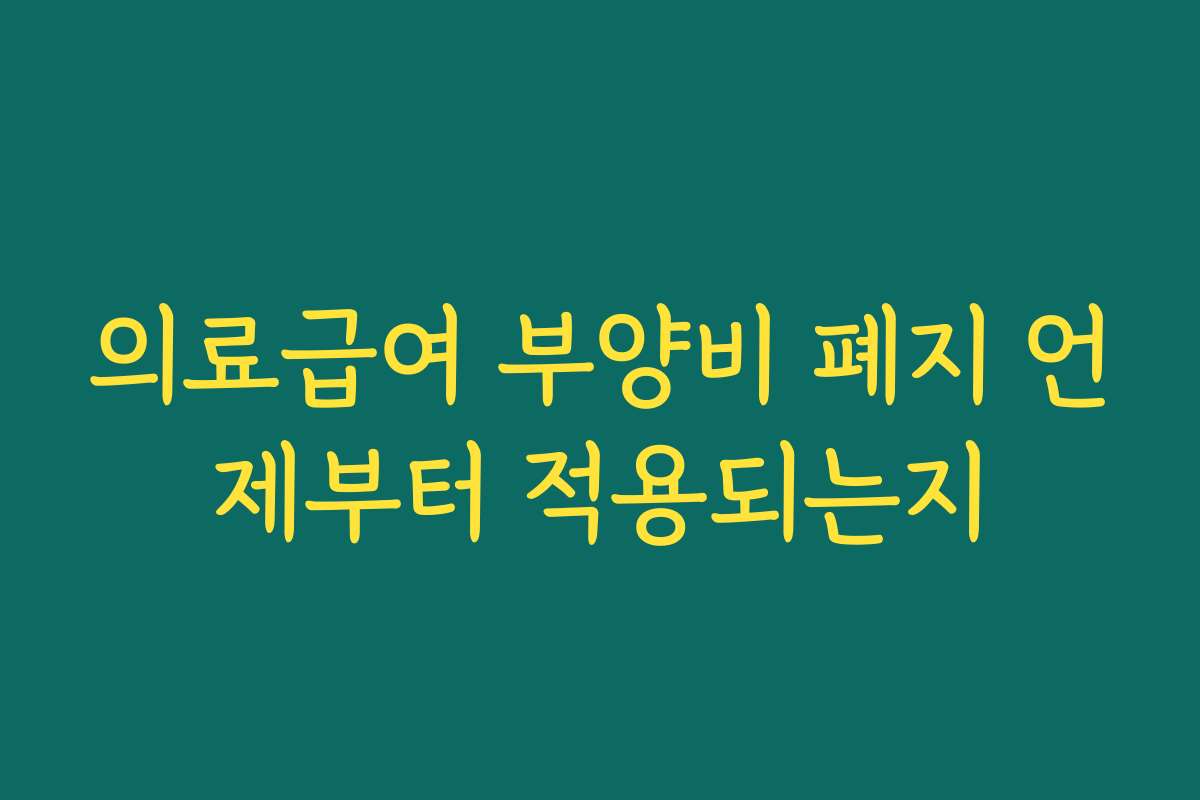 의료급여 부양비 폐지 언제부터 적용되는지