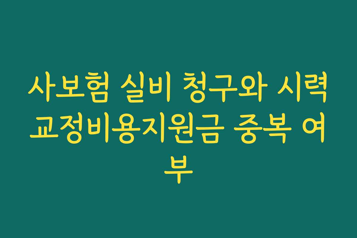 사보험 실비 청구와 시력교정비용지원금 중복 여부
