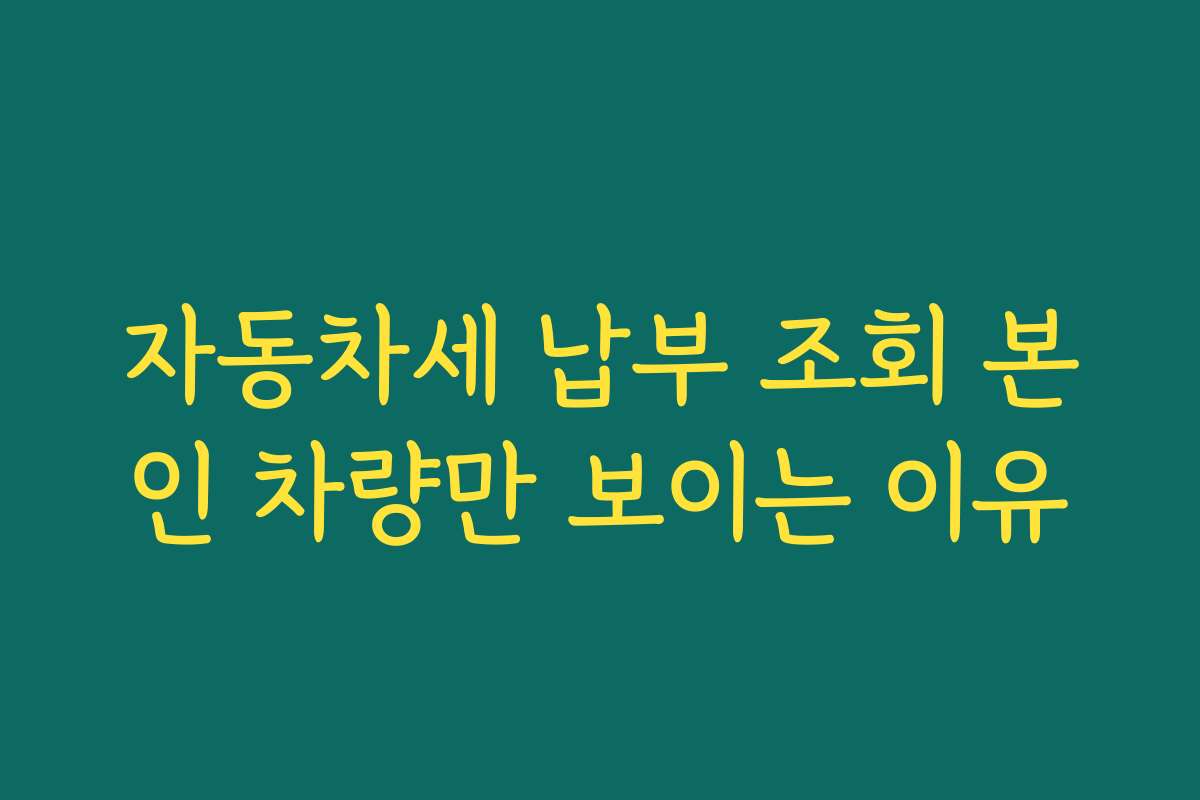 자동차세 납부 조회 본인 차량만 보이는 이유