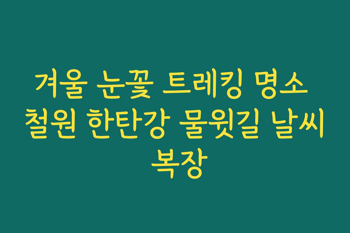 겨울 눈꽃 트레킹 명소 철원 한탄강 물윗길 날씨 복장