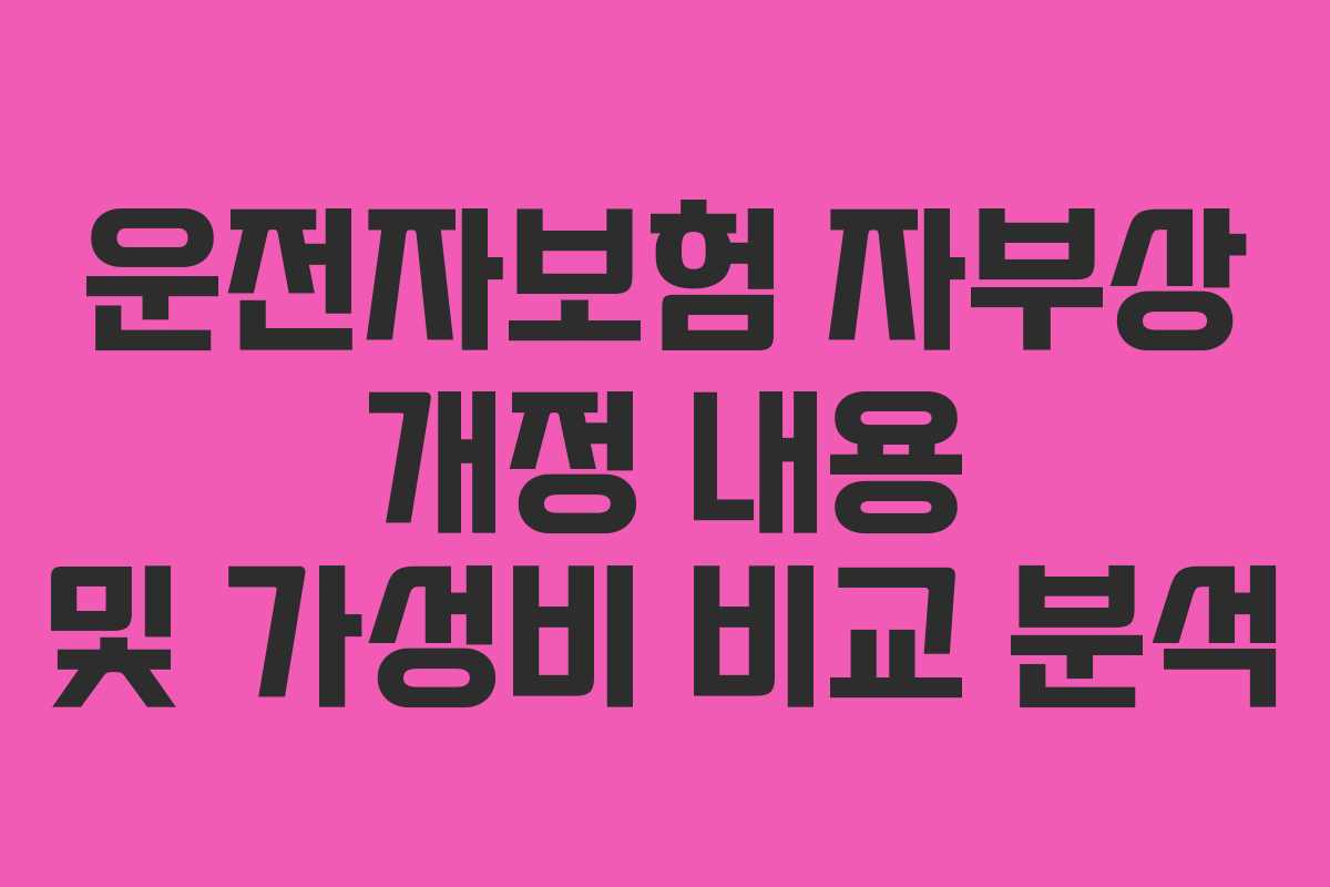 운전자보험 자부상 개정 내용 및 가성비 비교 분석