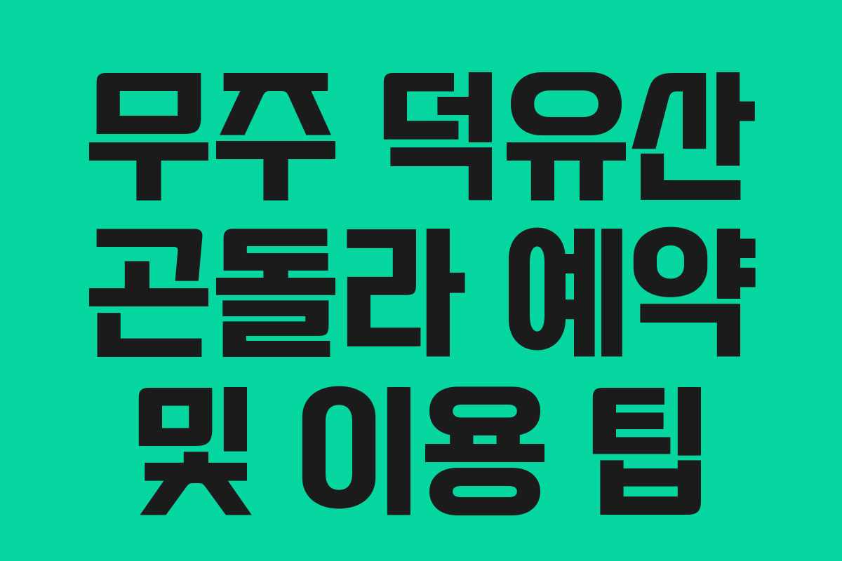 무주 덕유산 곤돌라 예약 및 이용 팁