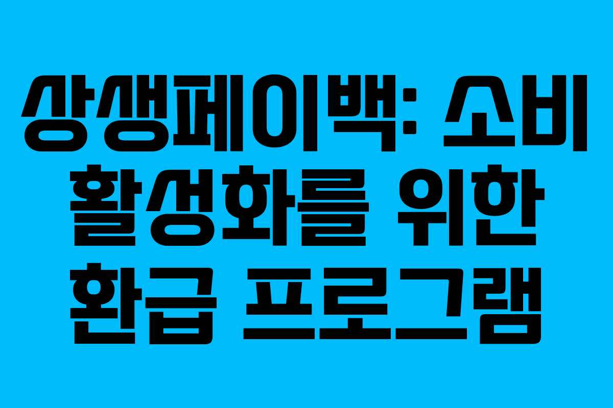 상생페이백: 소비 활성화를 위한 환급 프로그램