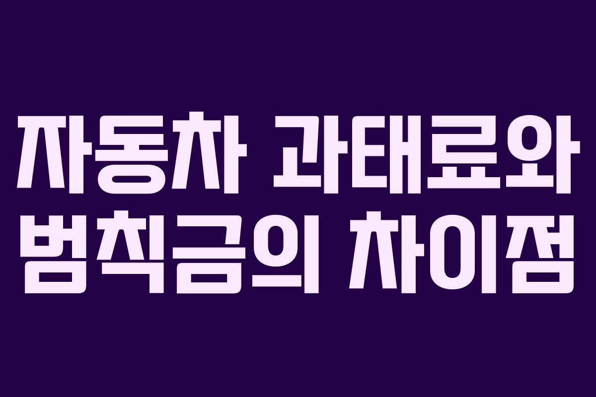 자동차 과태료와 범칙금의 차이점