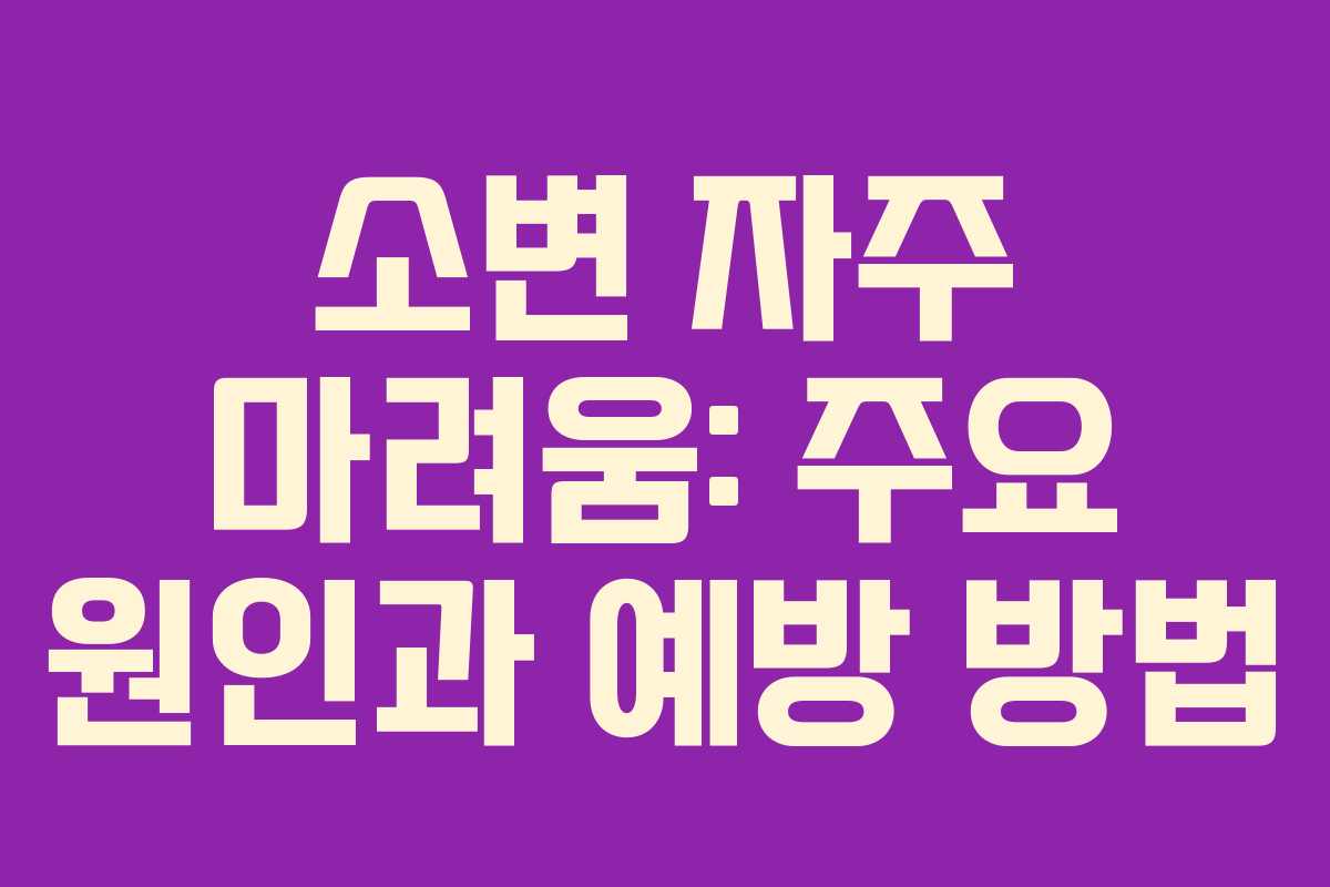 소변 자주 마려움: 주요 원인과 예방 방법