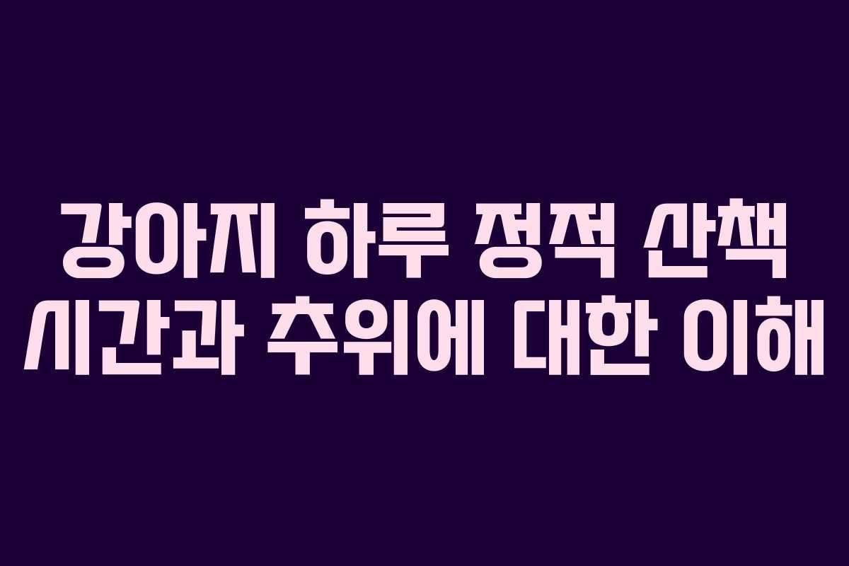 강아지 하루 정적 산책 시간과 추위에 대한 이해