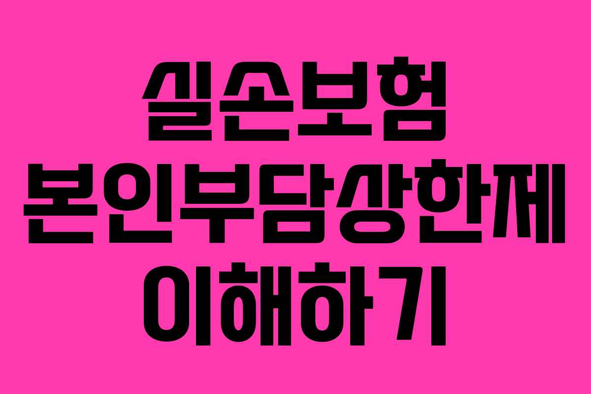 실손보험 본인부담상한제 이해하기