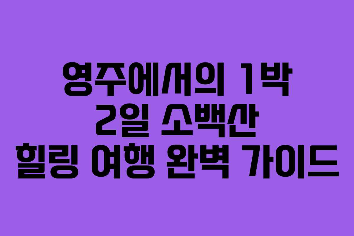 영주에서의 1박 2일 소백산 힐링 여행 완벽 가이드