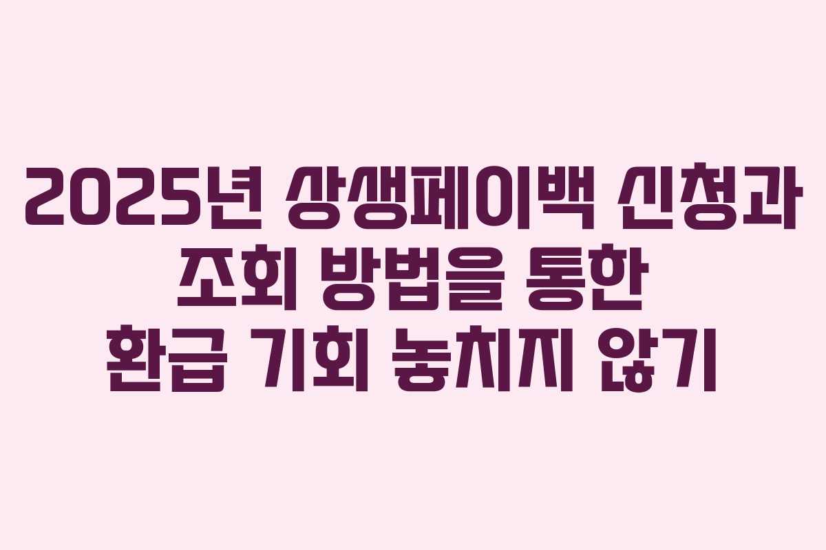 2025년 상생페이백 신청과 조회 방법을 통한 환급 기회 놓치지 않기