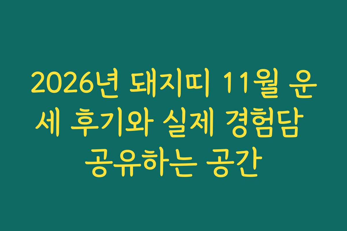 2026년 돼지띠 11월 운세 후기와 실제 경험담 공유하는 공간