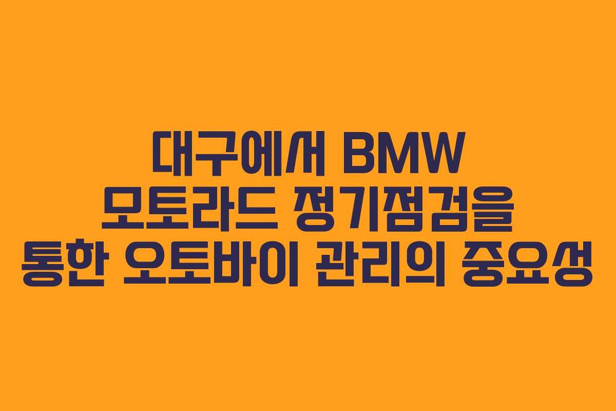 대구에서 BMW 모토라드 정기점검을 통한 오토바이 관리의 중요성
