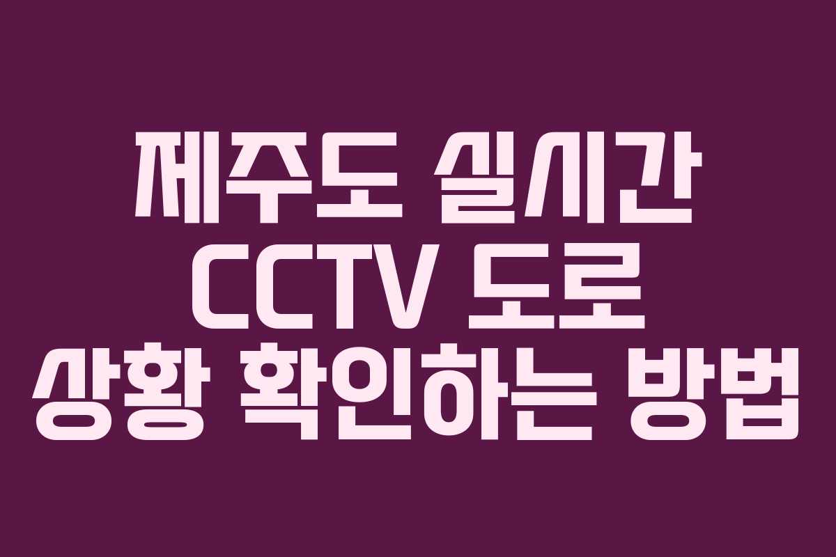 제주도 실시간 CCTV 도로 상황 확인하는 방법