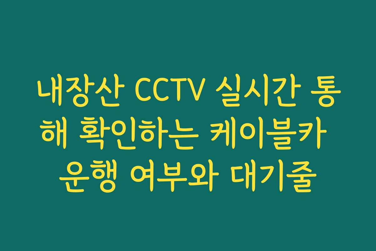 내장산 CCTV 실시간 통해 확인하는 케이블카 운행 여부와 대기줄
