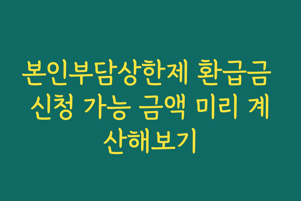 본인부담상한제 환급금 신청 가능 금액 미리 계산해보기