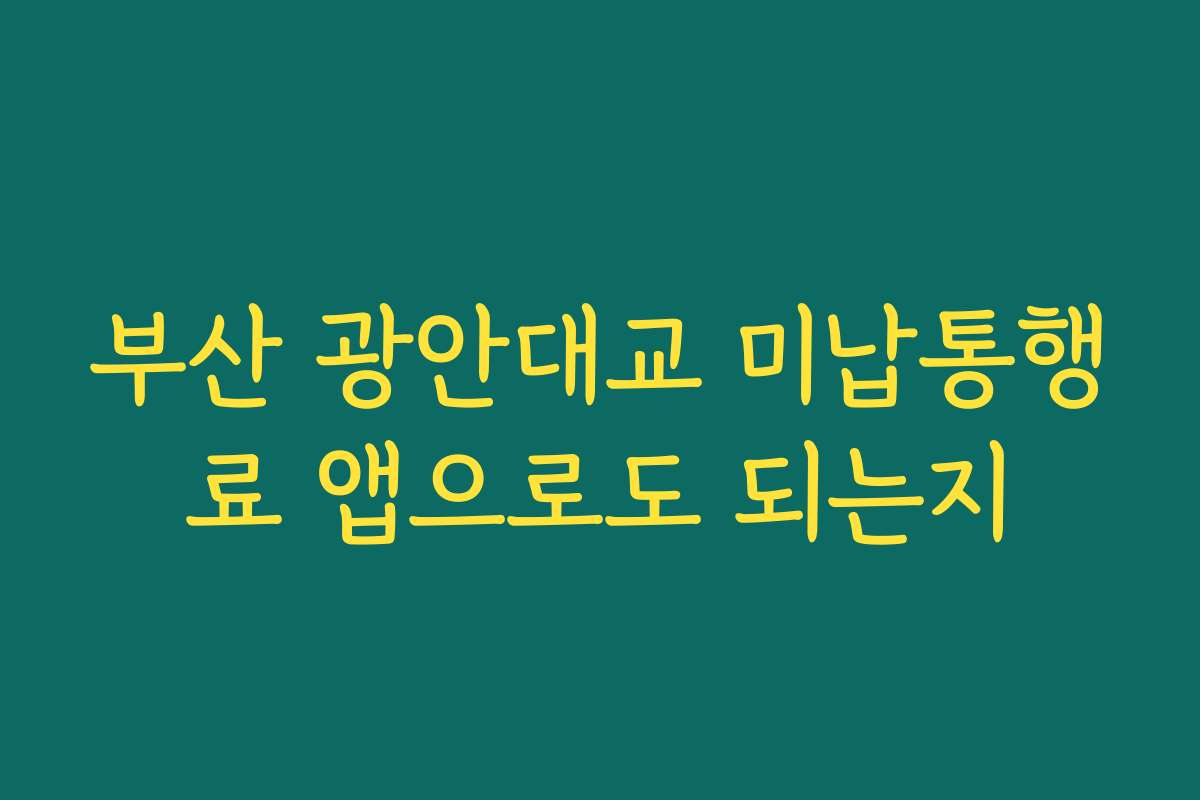 부산 광안대교 미납통행료 앱으로도 되는지