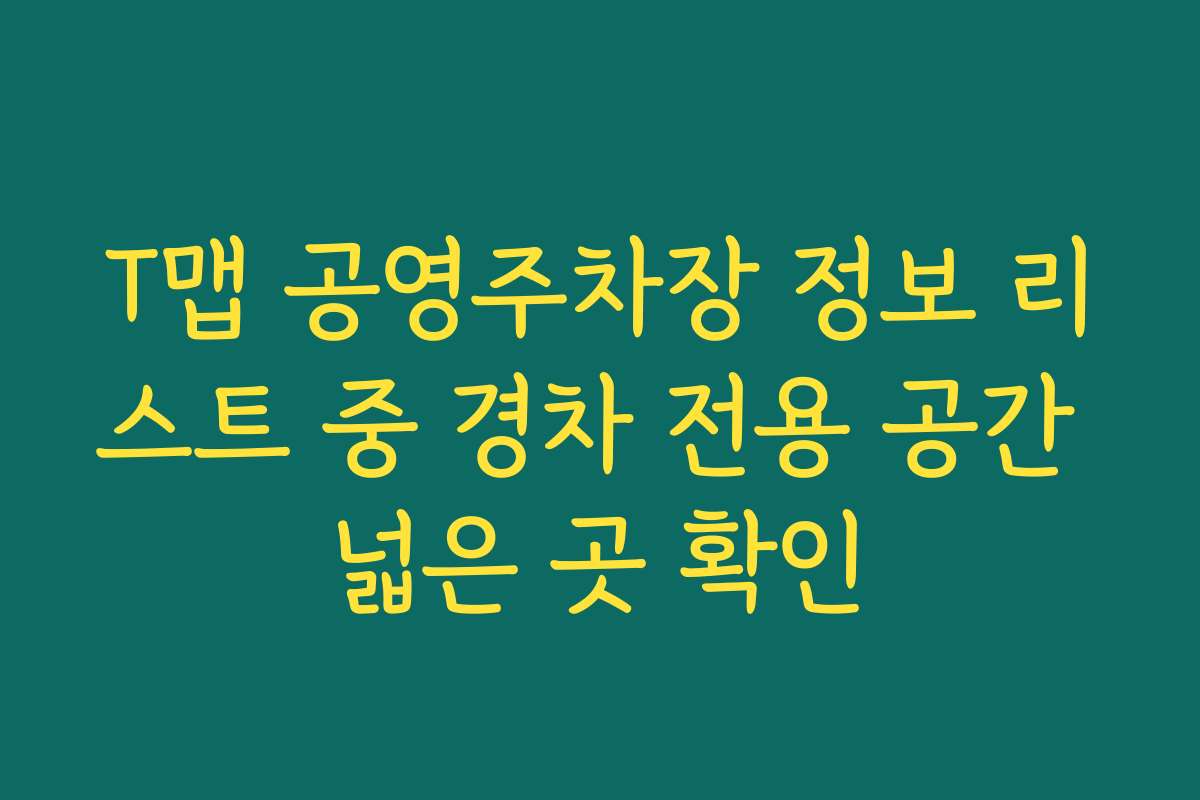 T맵 공영주차장 정보 리스트 중 경차 전용 공간 넓은 곳 확인