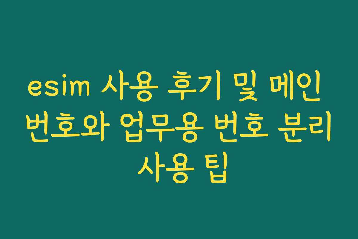 esim 사용 후기 및 메인 번호와 업무용 번호 분리 사용 팁
