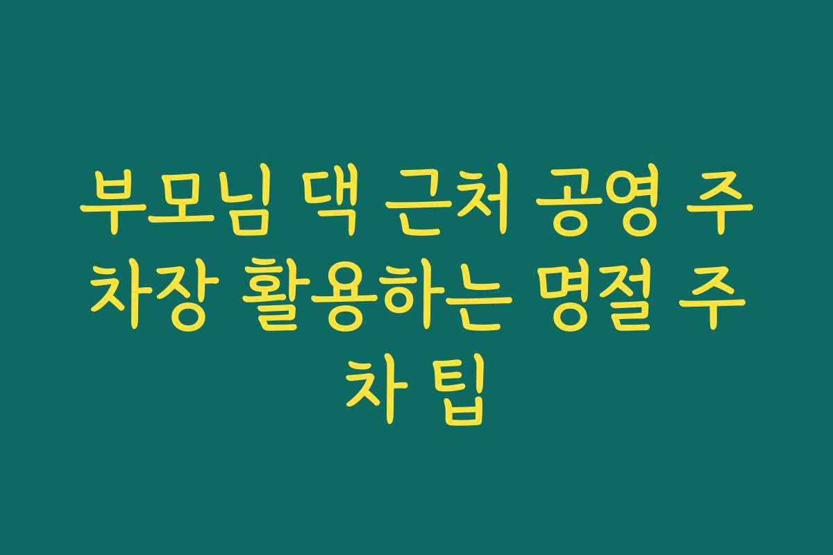 부모님 댁 근처 공영 주차장 활용하는 명절 주차 팁