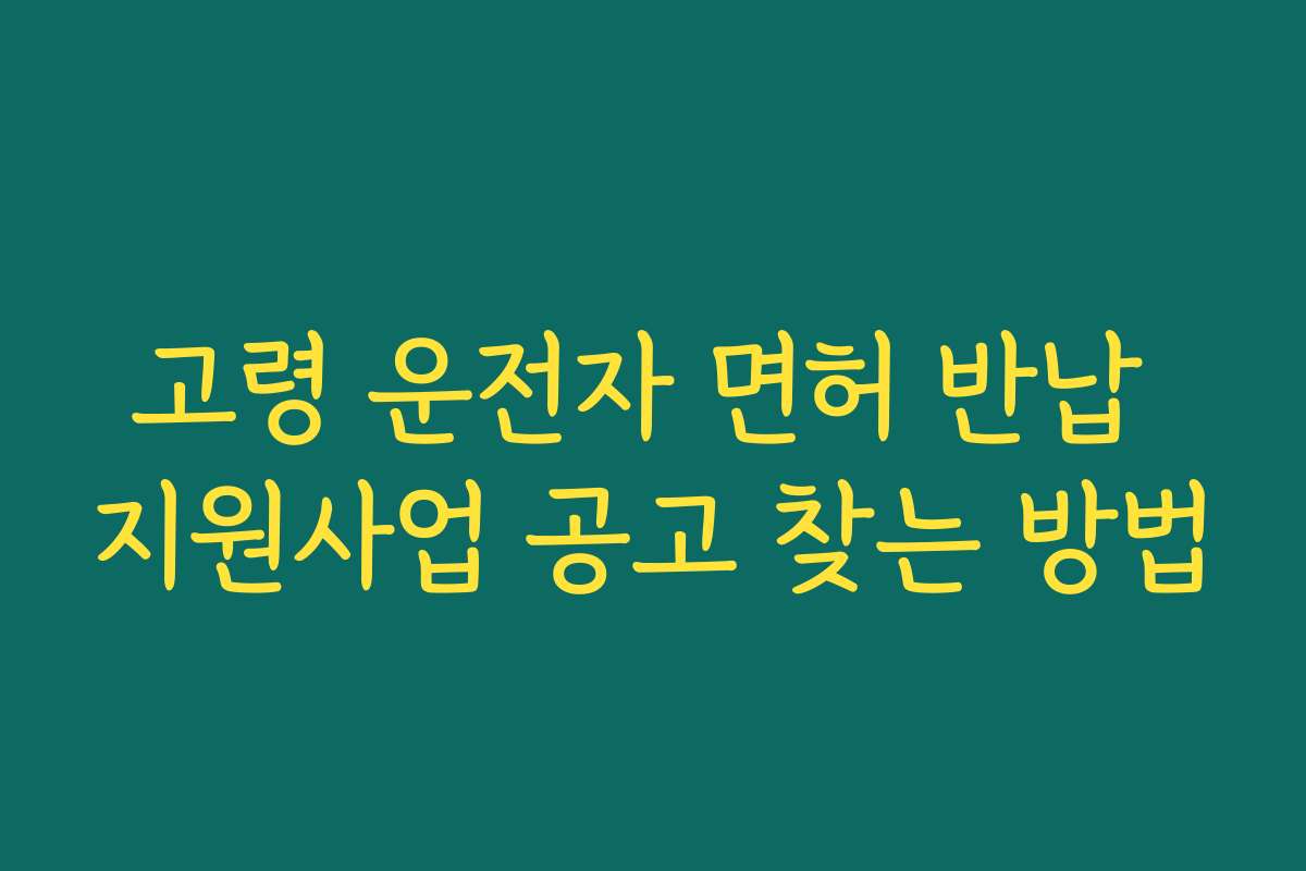 고령 운전자 면허 반납 지원사업 공고 찾는 방법