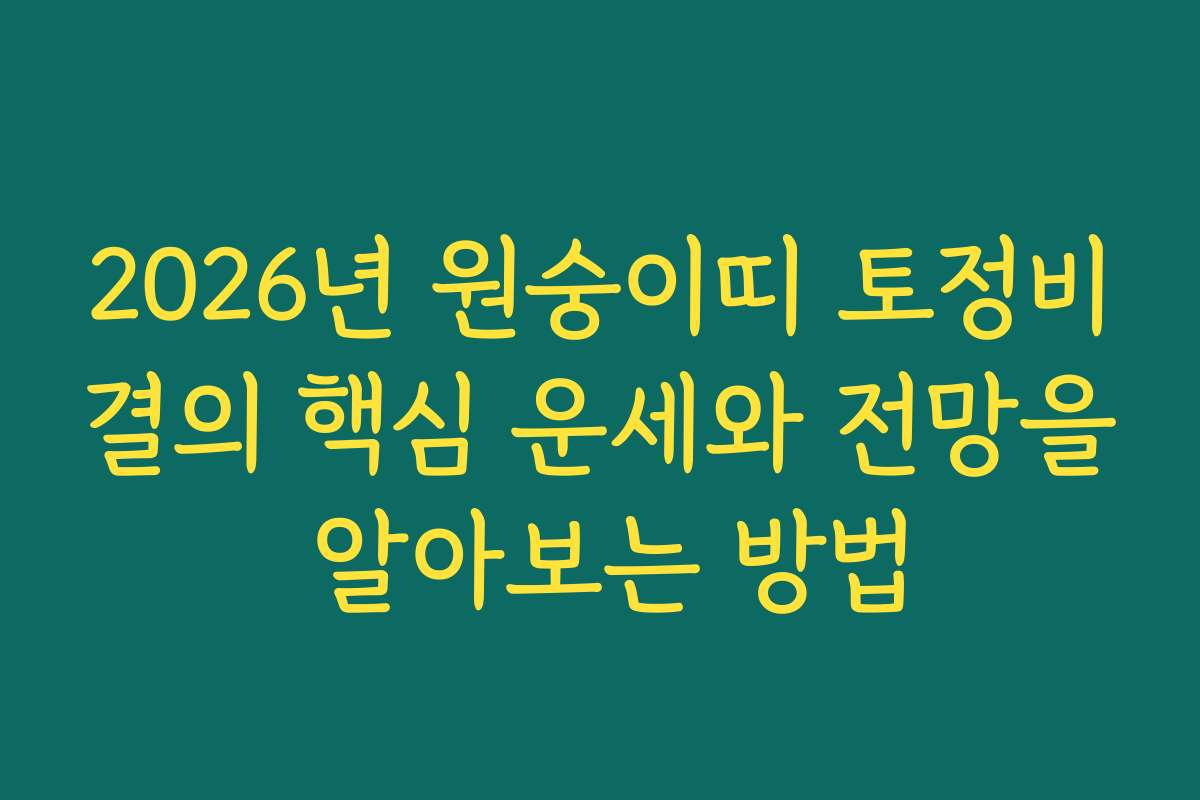 2026년 원숭이띠 토정비결의 핵심 운세와 전망을 알아보는 방법