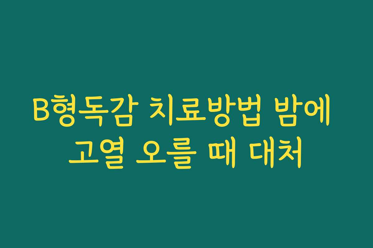 B형독감 치료방법 밤에 고열 오를 때 대처